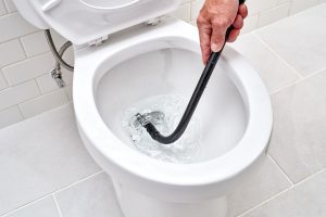 unclogging a toilet in Burton MI